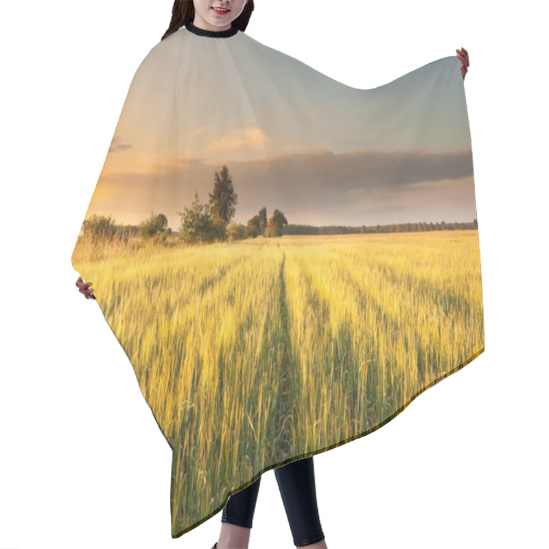 Personality  Sunset Over Grain Field Hair Cutting Cape