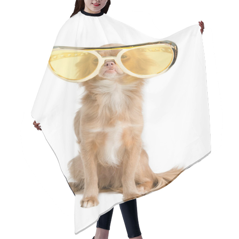 Personality  Dog With Huge Glasses Hair Cutting Cape