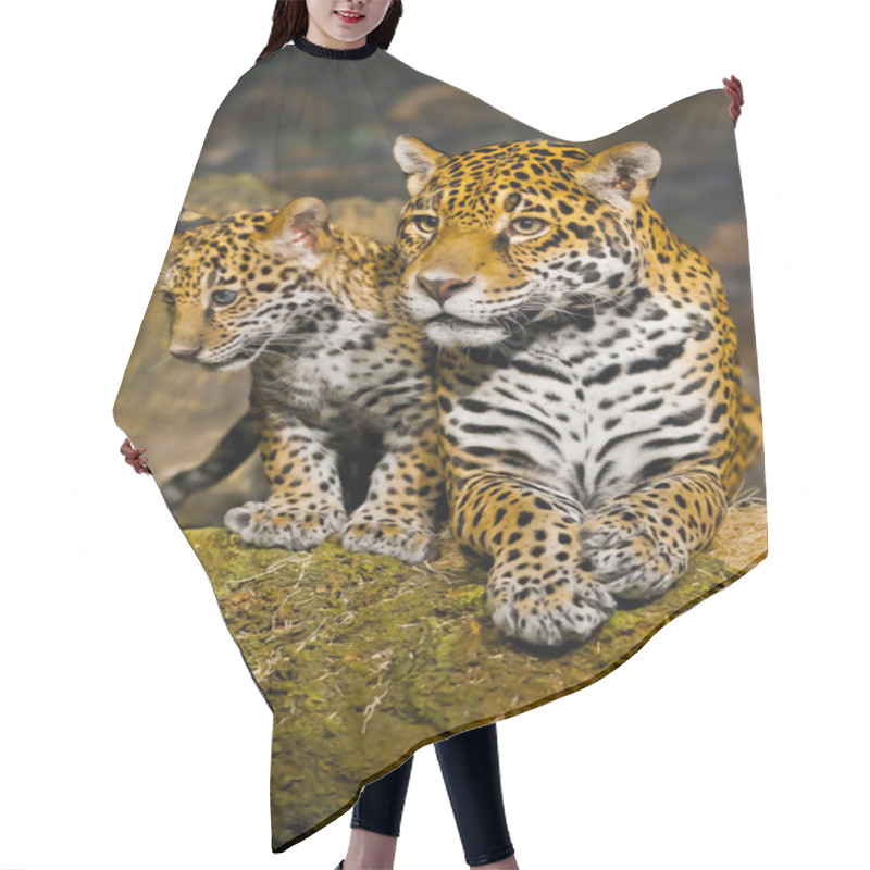 Personality  Jaguar Cubs Hair Cutting Cape