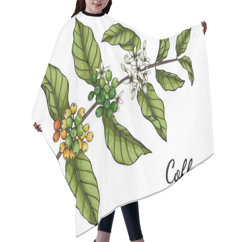 Personality  Coffee Flower And Leaf Drawing Illustration With Line Art On White Backgrounds. Hair Cutting Cape