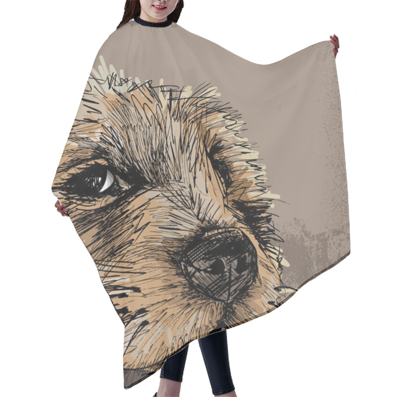 Personality  Sketch Of A Dog Hair Cutting Cape