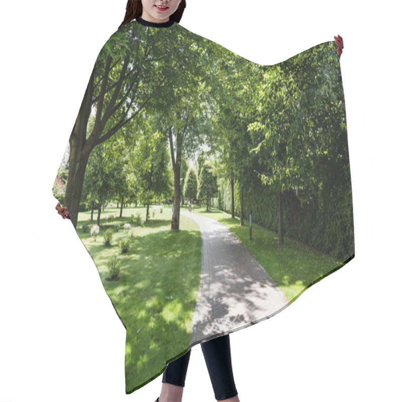 Personality  shadows on green grass with bushes and trees near path in park  hair cutting cape