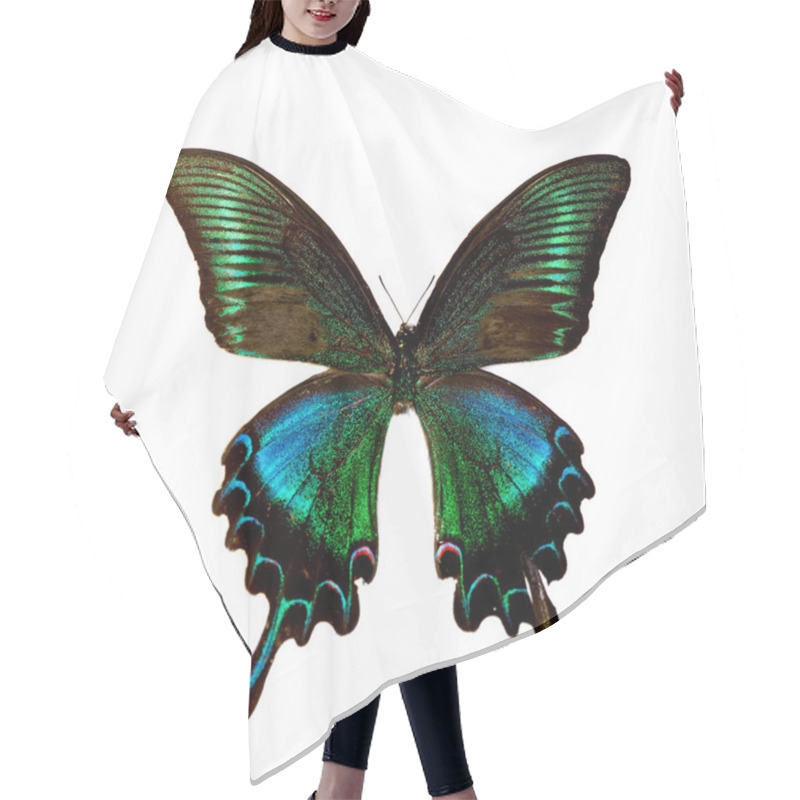 Personality  Butterfly Hair Cutting Cape