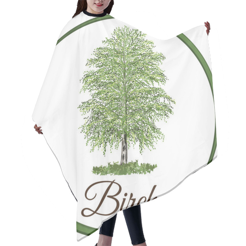 Personality  Birch Tree As Vector Drawn With Single Leaves Hair Cutting Cape