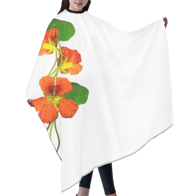 Personality  Nasturtium Flowers Isolated On White Background Hair Cutting Cape