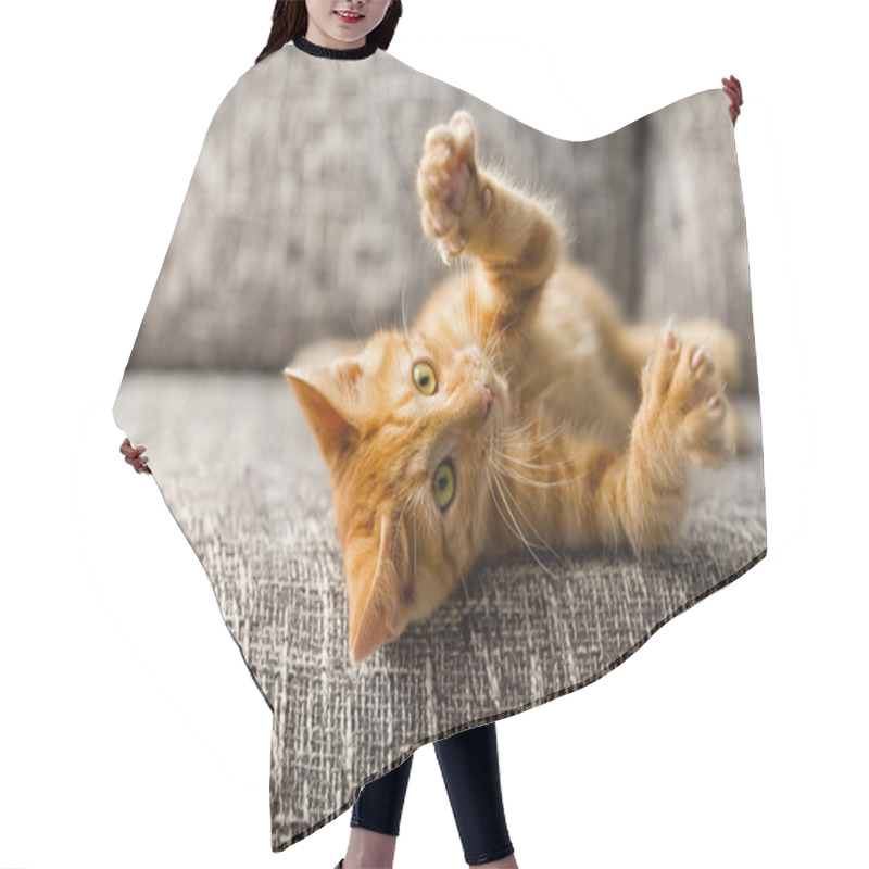 Personality  Little Cat Playing Hair Cutting Cape