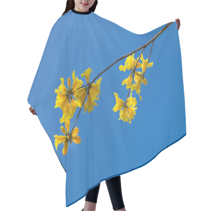 Personality  Children's Instrumens Hair Cutting Cape