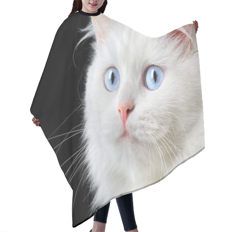 Personality  Portrait Of A White Cat Hair Cutting Cape