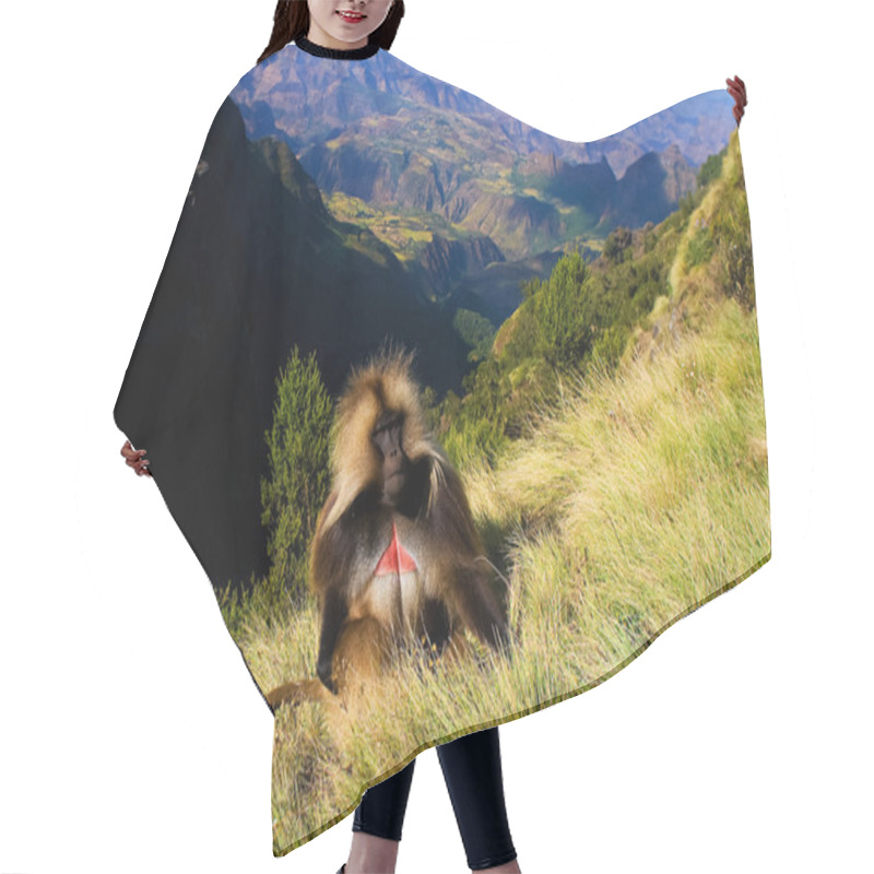 Personality  Gelada Baboon  Hair Cutting Cape