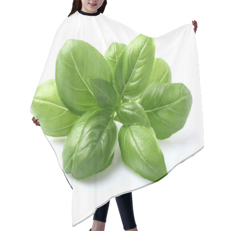 Personality  Basil Leaves In Closeup Hair Cutting Cape