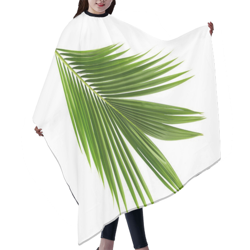 Personality  Coconut Leaves Or Coconut Fronds, Green Plam Leaves, Tropical Foliage Isolated On White Background With Clipping Path Hair Cutting Cape