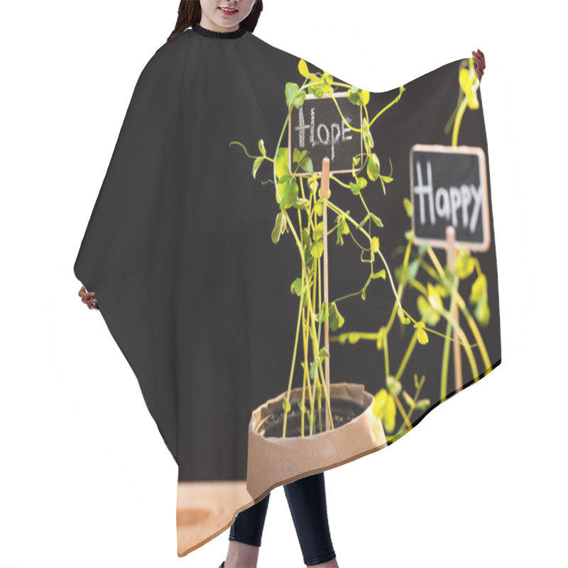 Personality  Fresh Green Plants And Cards  Hair Cutting Cape