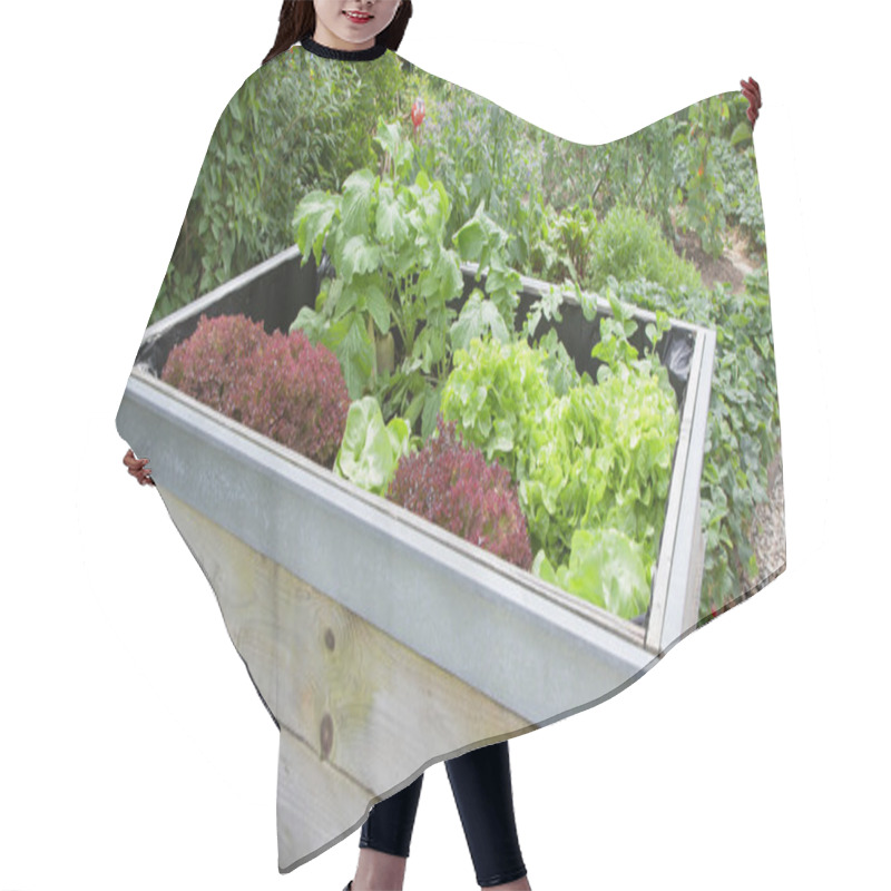 Personality  Garden Plants Growing In Wooden Box Hair Cutting Cape