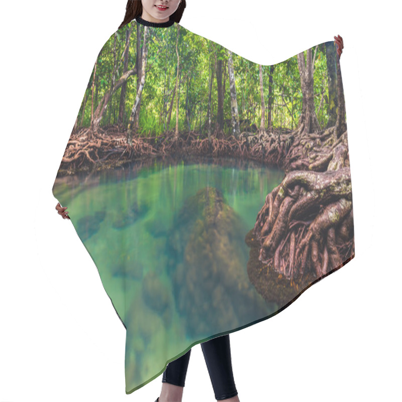 Personality  Mangrove Trees With The Turquoise Green Water Stream Hair Cutting Cape