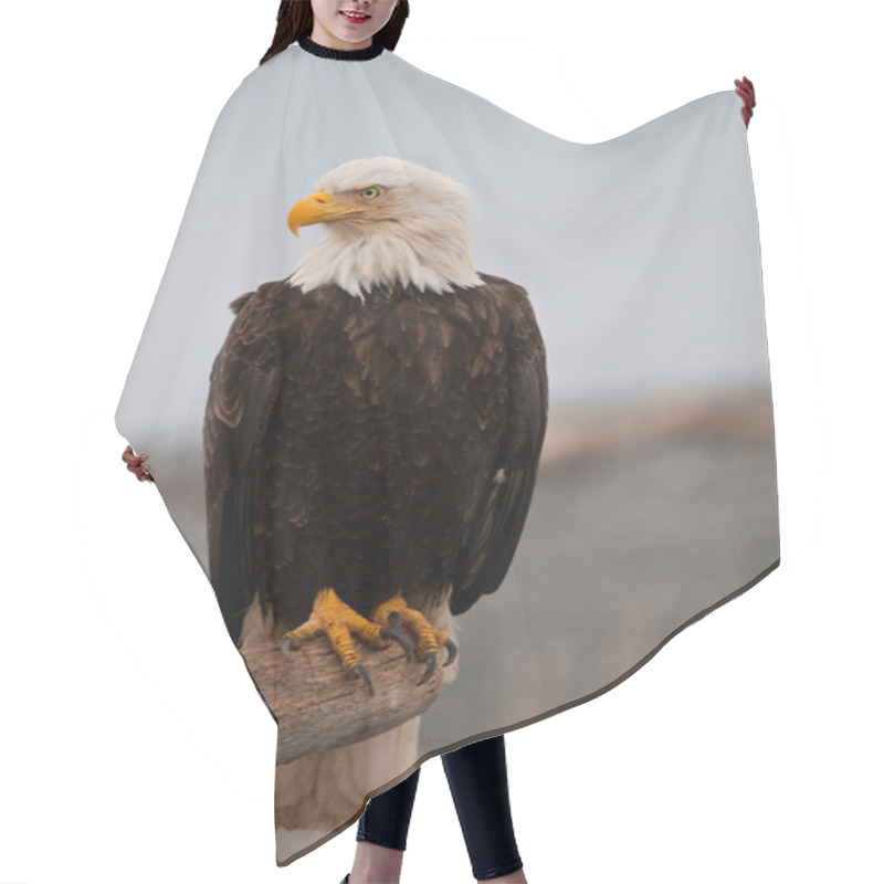 Personality  American Bald Eagle Hair Cutting Cape