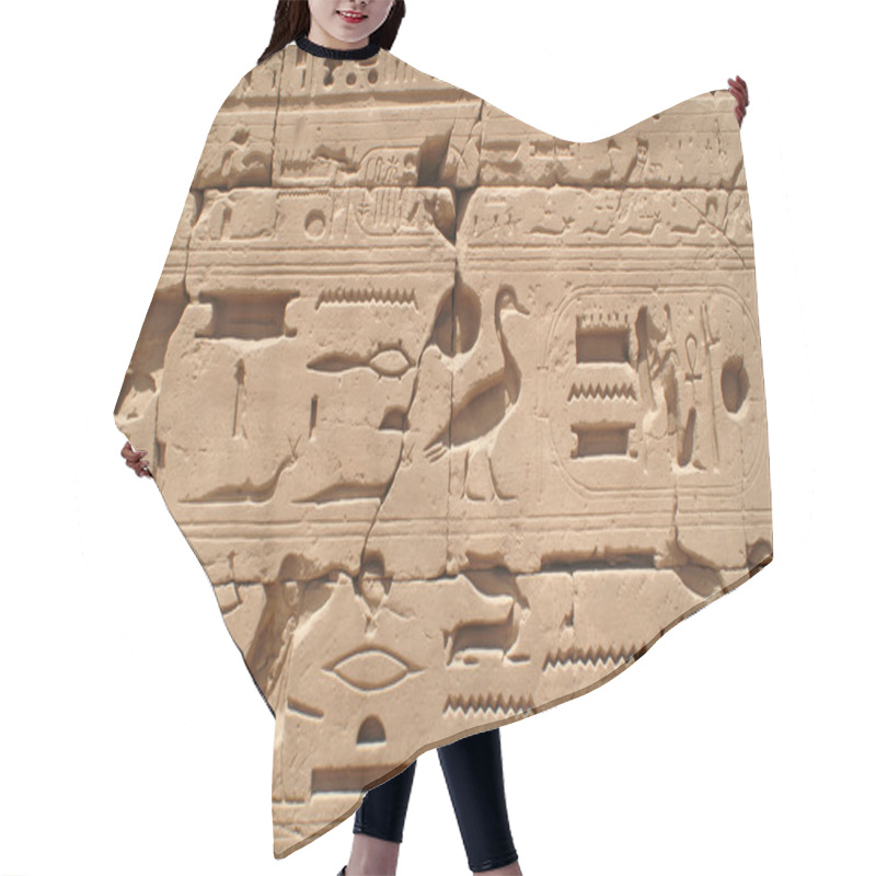 Personality  Egypt Sign 1 Hair Cutting Cape