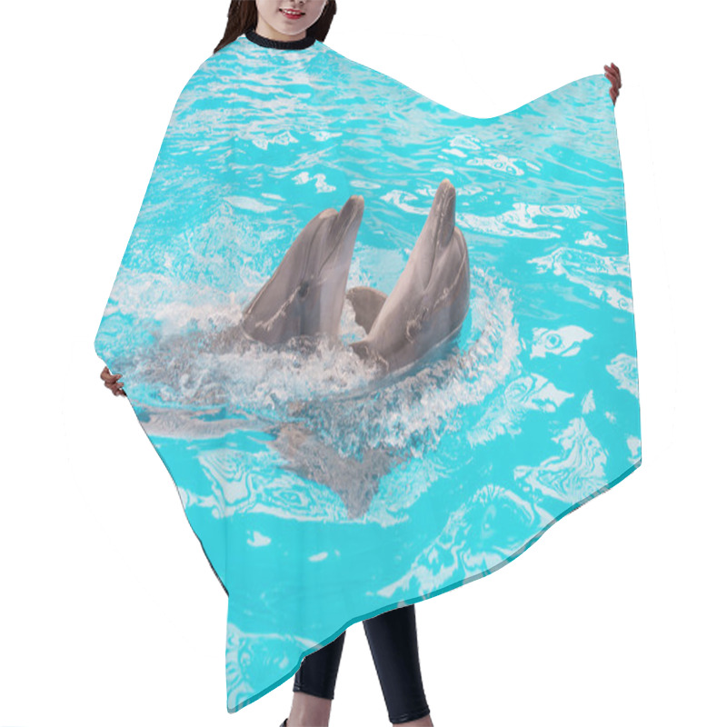 Personality  Dolphins Couple Swimming In Blue Pool Water Hair Cutting Cape