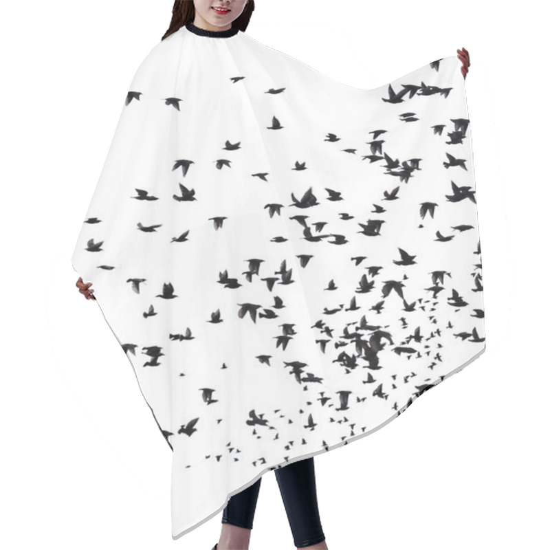 Personality  A Flock Of Migratory Birds.  Hair Cutting Cape