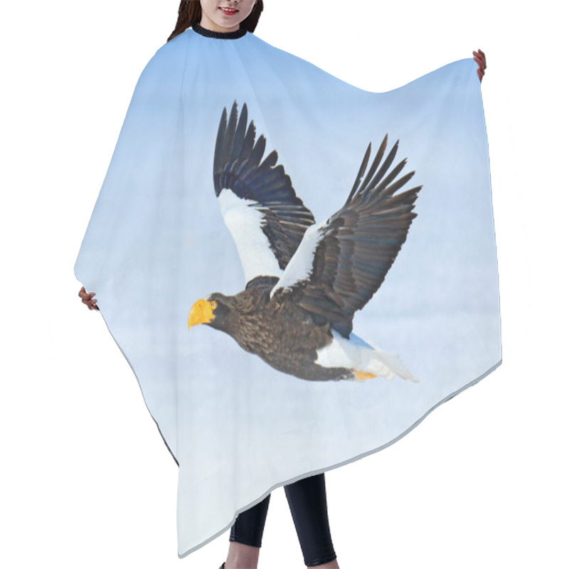 Personality  Steller's Sea Eagle, Haliaeetus Pelagicus, Flying Bird Of Prey, With Forest In Background, Hokkaido, Japan. Eagle With Nature Mountain Habitat. Hair Cutting Cape