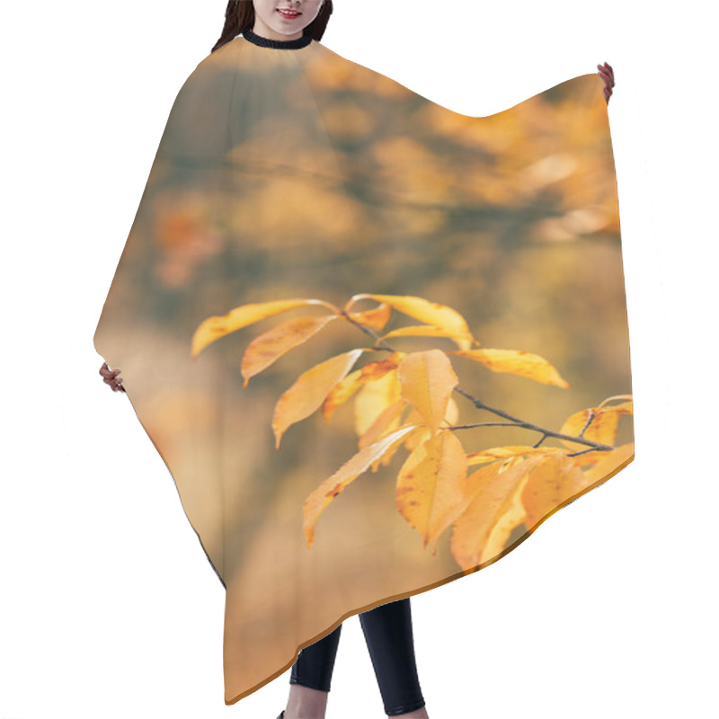 Personality  Orange Autumn Foliage On Blurred Background  Hair Cutting Cape