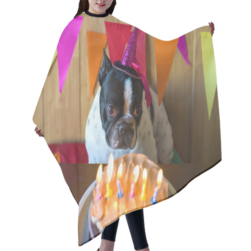 Personality  Dogs On Birthday Party Hair Cutting Cape