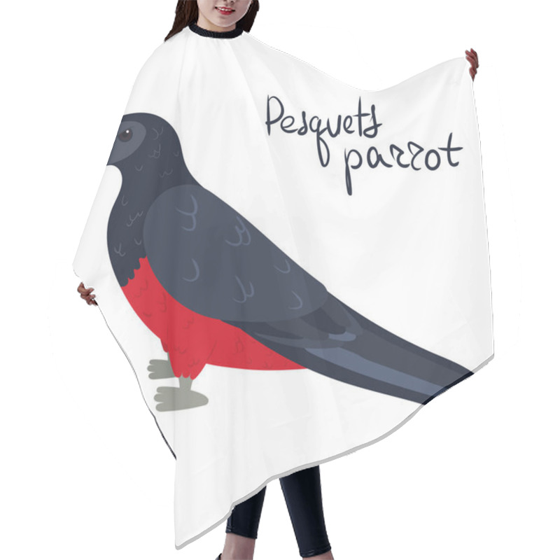 Personality  Pesquets Parrot, Also Known As The Dracula Or Vulturine Parrot In Cartoon Style On White Background. Psittrichas Fulgidus Hair Cutting Cape