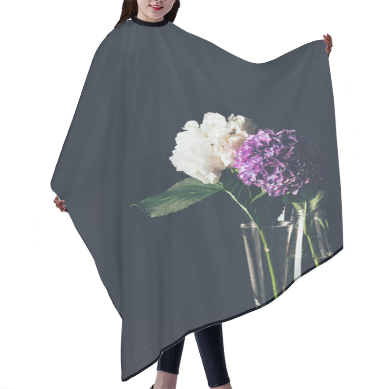 Personality  White And Purple Hortensia Blossom In Glass Vases, On Black Hair Cutting Cape