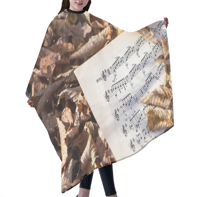 Personality  Musical Notes. Musical Notes And Leaves. Beautiful Autumn Background. Concept Of Creativity, Autumn Melody. Dry Leaves In A Park Or Garden, Paper Sheet With Musical Notes. Close-up Hair Cutting Cape