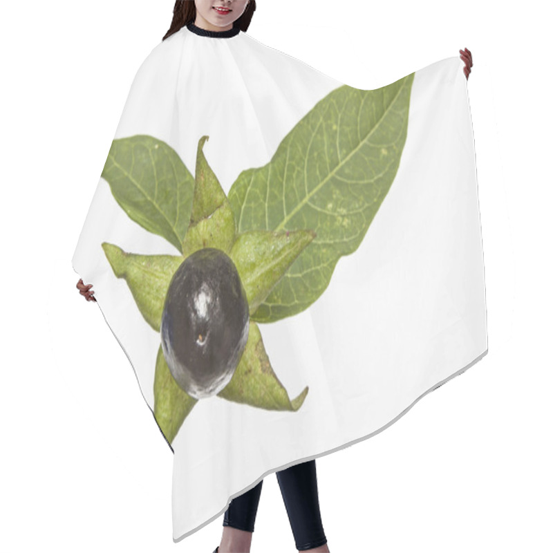 Personality  Atropa Belladonna Hair Cutting Cape