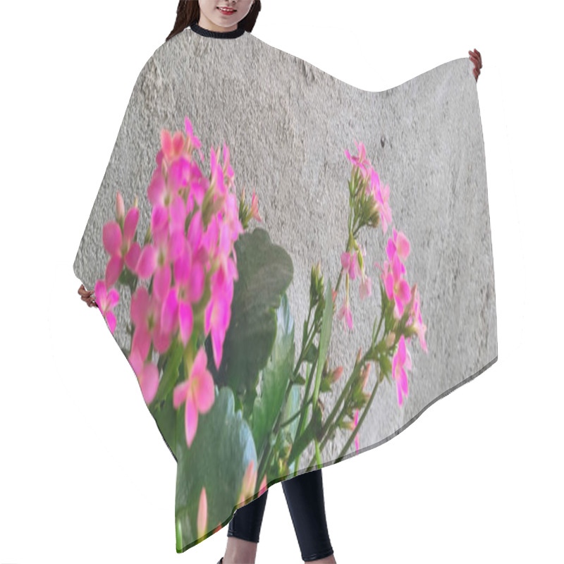 Personality  Pink Flowers With Rustic Wall Background Hair Cutting Cape