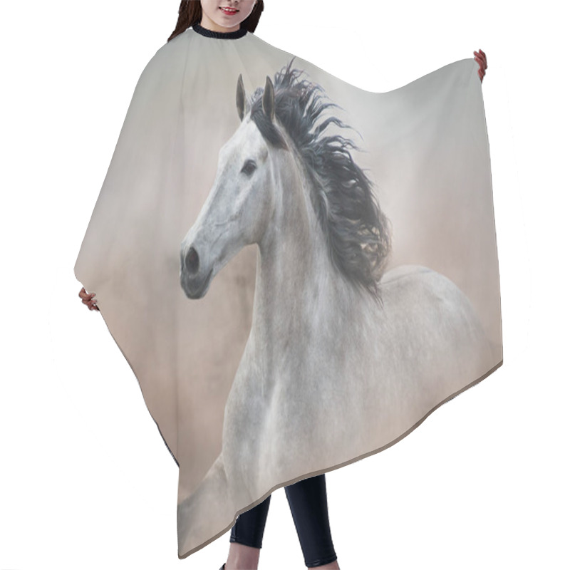 Personality  Grey Horse In Motion On Desert Dust Hair Cutting Cape