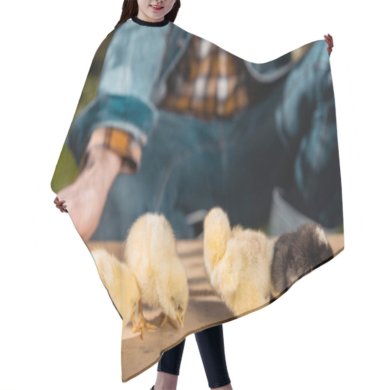 Personality  Cropped Image Of Male Farmer Holding Wooden Board With Adorable Baby Chicks Outdoors  Hair Cutting Cape