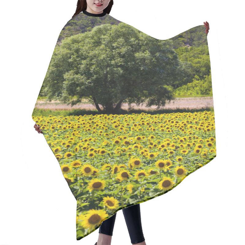 Personality  Sunflowers Hair Cutting Cape