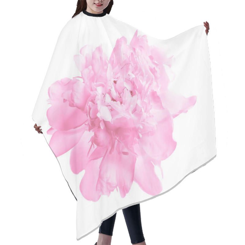 Personality  Beautiful Pink Peony Flower On White Background, Top View Hair Cutting Cape