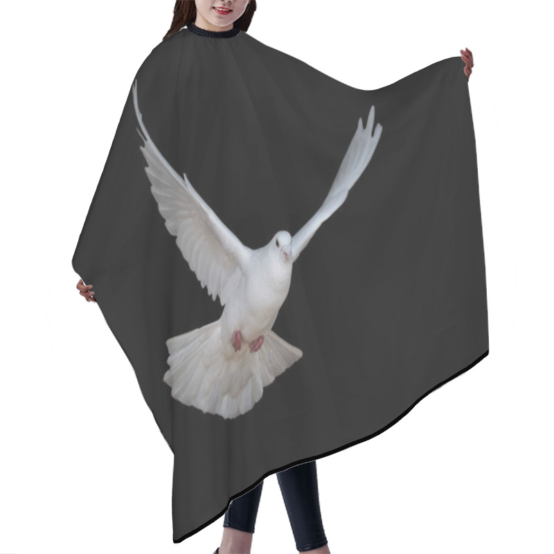 Personality  White Dove Flying Isolated On Black Hair Cutting Cape