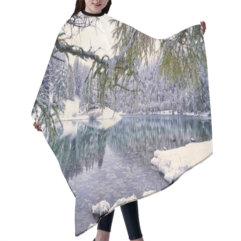 Personality  Scenic View Of Majestic Alps Landscape Hair Cutting Cape