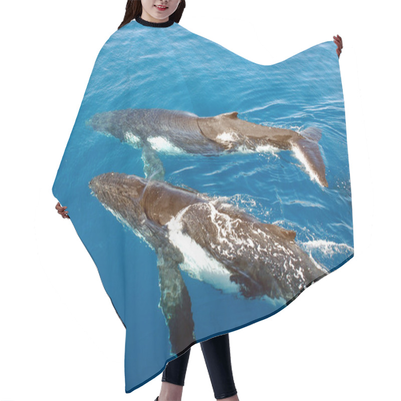 Personality  Two Humpback Whales Hair Cutting Cape