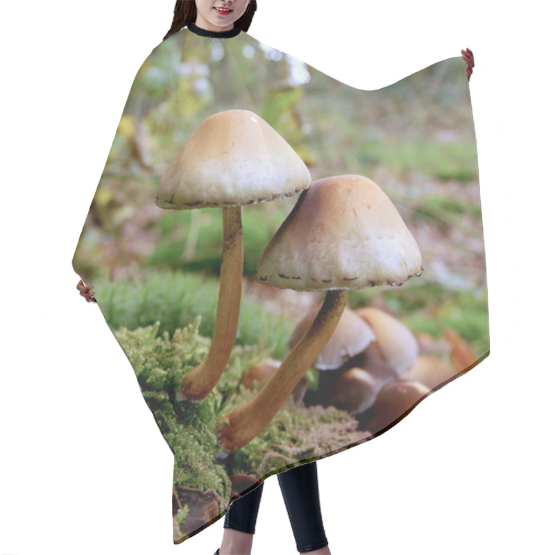 Personality  Toadstool / Mushroom Hair Cutting Cape