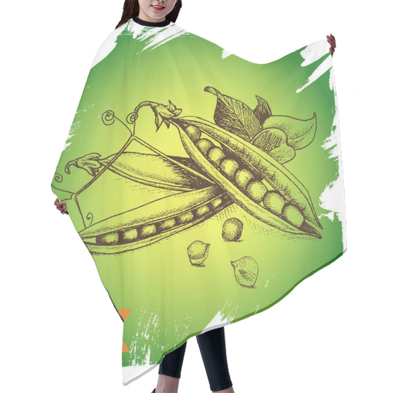 Personality  Set Of Hand Drawn Graphic Illustration.  Hair Cutting Cape