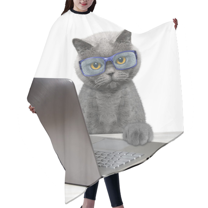 Personality  Cat Using Laptop Or Notebook  Hair Cutting Cape