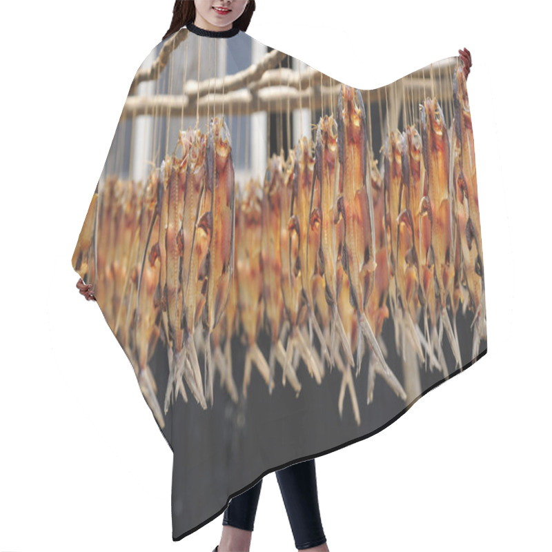 Personality  Sun-dried Fish Orchid Island Hair Cutting Cape