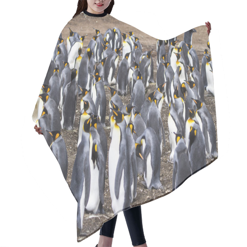 Personality  Colony Of King Penguins Hair Cutting Cape