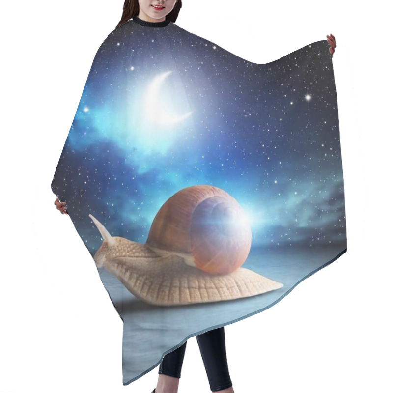 Personality  The Snail On The Background Of A Night Sky Hair Cutting Cape