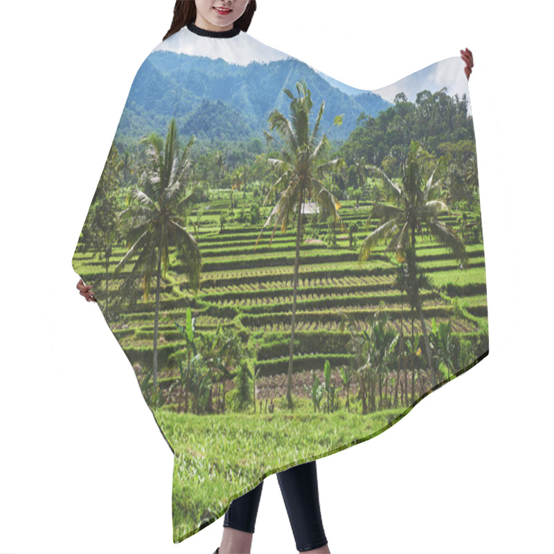 Personality  Rice Terraces In The Bali Indonesia. Green Rice Fields  Terraces On The Mountain. Rice Cultivation. Balinese Landscapes.  Rice Farming On Mountains. Concept Of Travel. Hair Cutting Cape