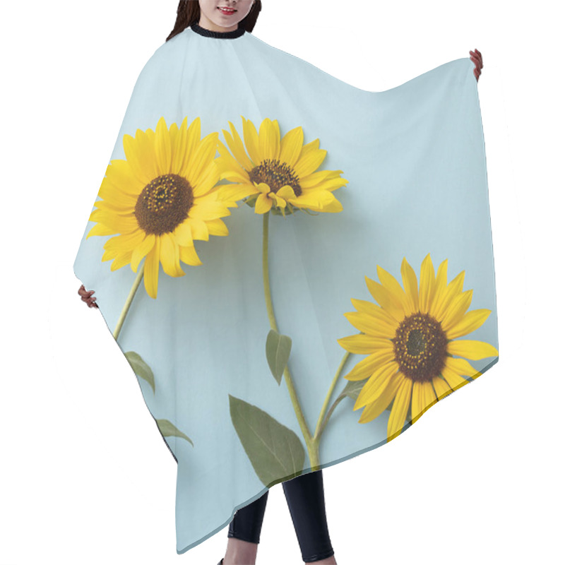 Personality  Yellow Sunflower On A Light Blue Background. Beautiful Flowers. Creative Idea. Hair Cutting Cape