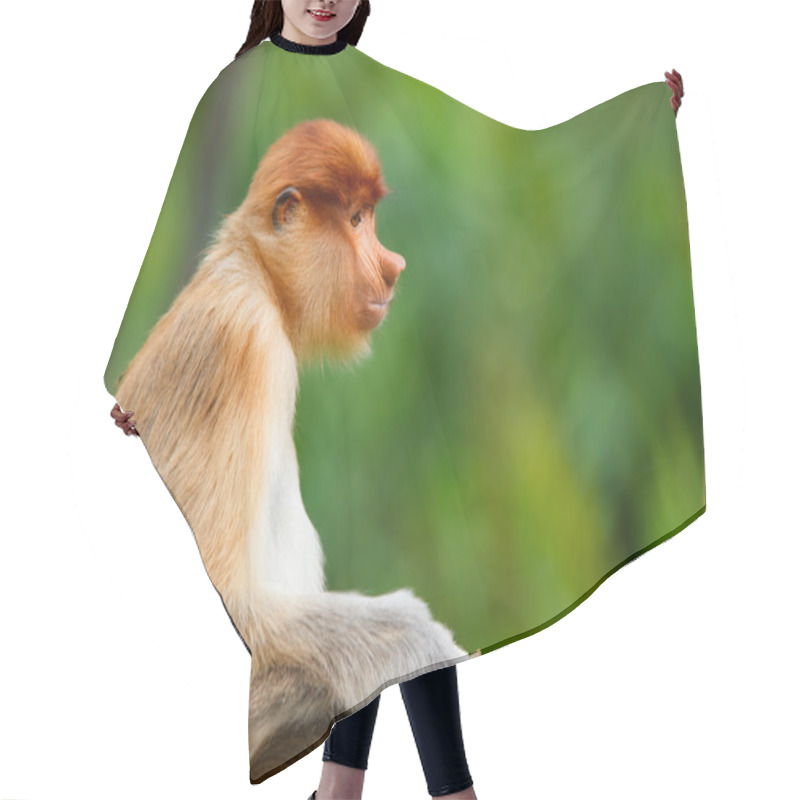 Personality  Proboscis Monkey Hair Cutting Cape