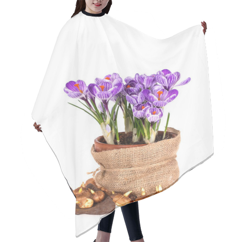 Personality  Crocuses In Pot, Old Trowel And Bulbs Hair Cutting Cape