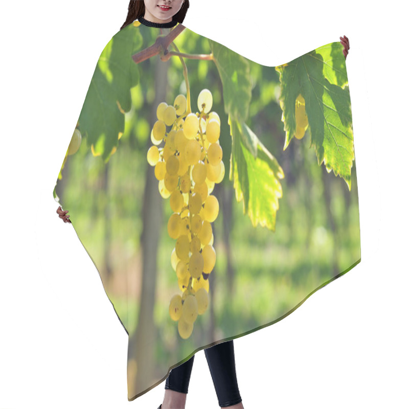 Personality  White Grapes Hair Cutting Cape