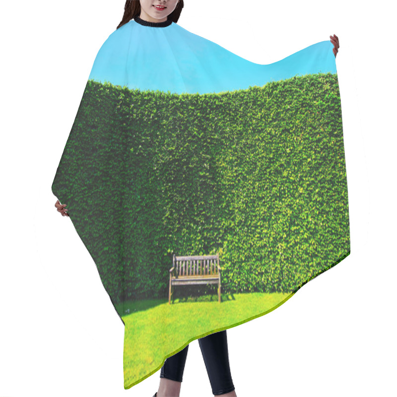 Personality  Garden Hedges With A Bench Hair Cutting Cape