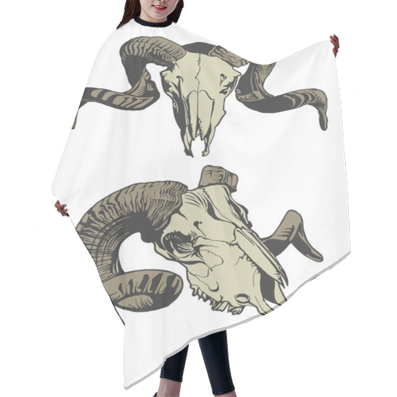 Personality  Illustration With Two Goat Skulls. Hair Cutting Cape